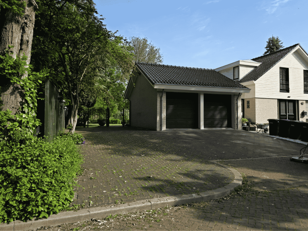 Before image